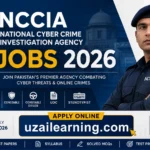 National Cybercrime Investigation Agency NCCIA Jobs 2026